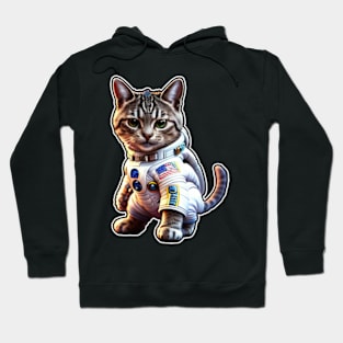 astronaut cat Hoodie